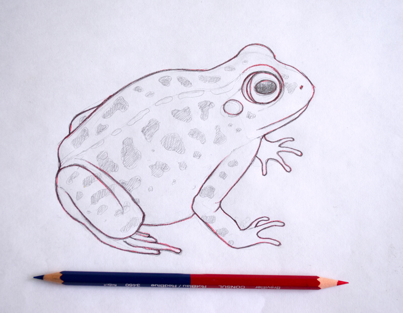 石墨转移描摹