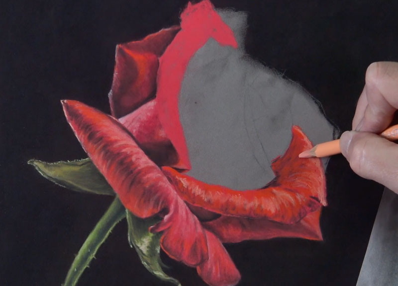 将玫瑰花瓣画得更靠近光源