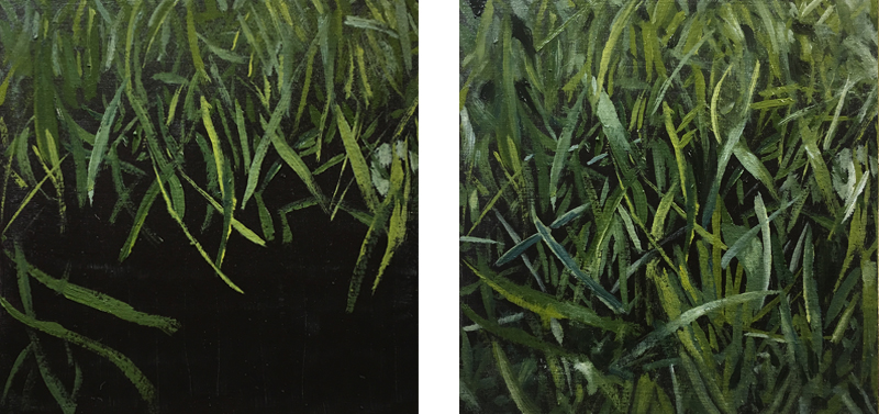绘画练习3 -画草-完成绘画