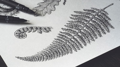 笔墨自然绘画