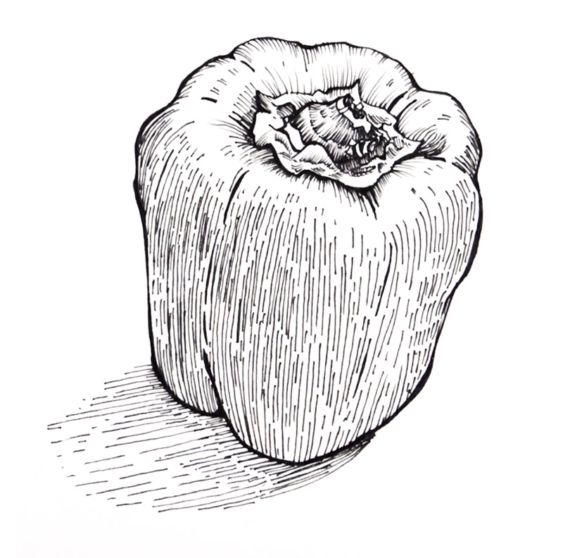绘画的想法——画一种蔬菜