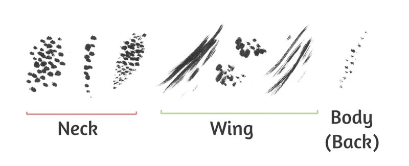 用毛笔做的记号样本