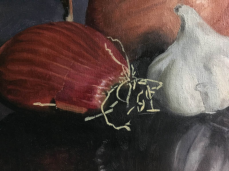 在静物画中画洋葱根