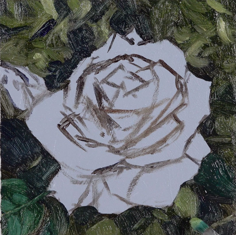扩大叶子的值范围