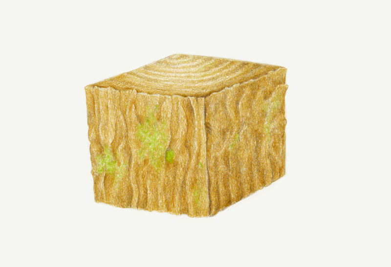 绘制逼真的木纹纹理