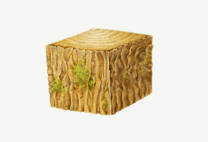 增加木材纹理的对比度