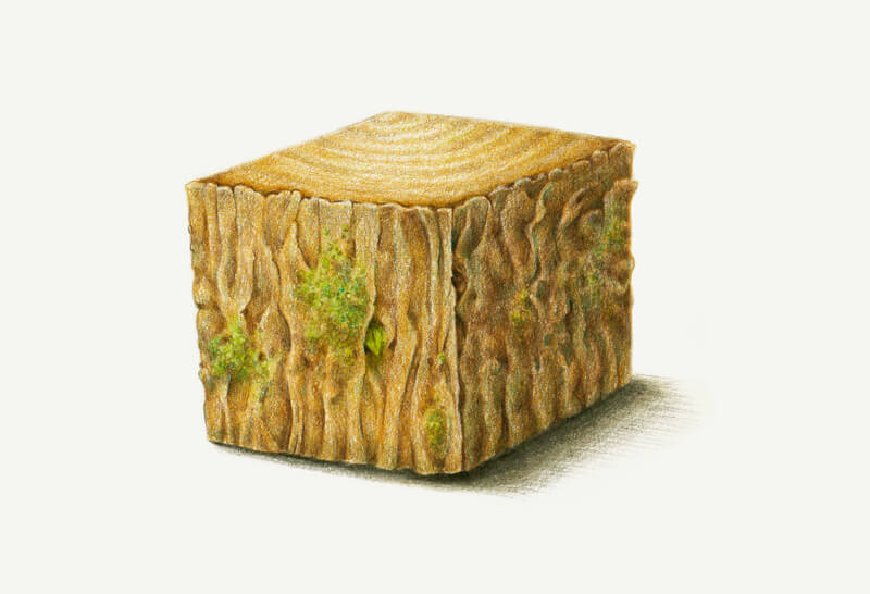 彩色铅笔画的木纹