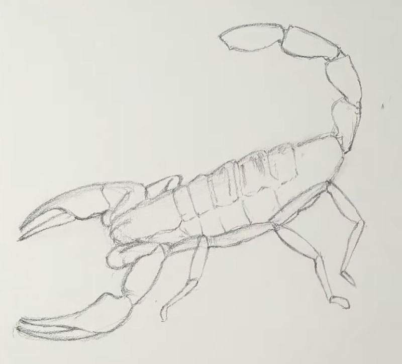 画蝎子的轮廓