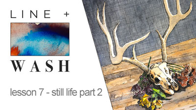 线和洗静物第二部分