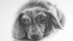 如何用石墨粉作画