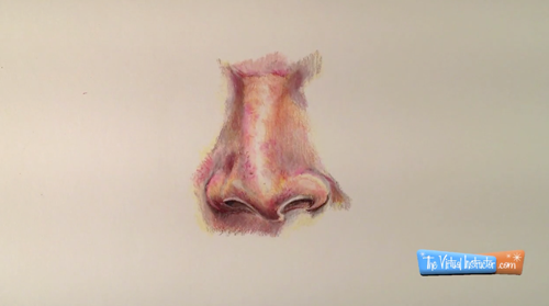 用彩色铅笔画鼻子