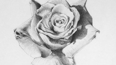 铅笔画纹理研究