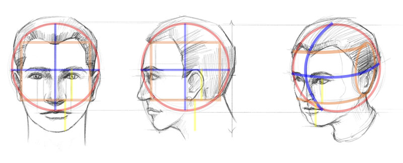 Loomis的方法来画