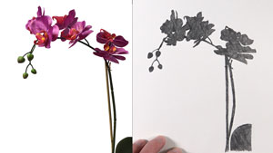 理解绘画中的正负空间