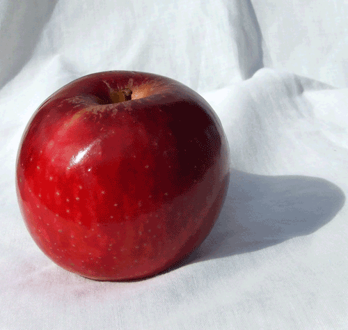 参考apple-Value-The-Elements-of-Art