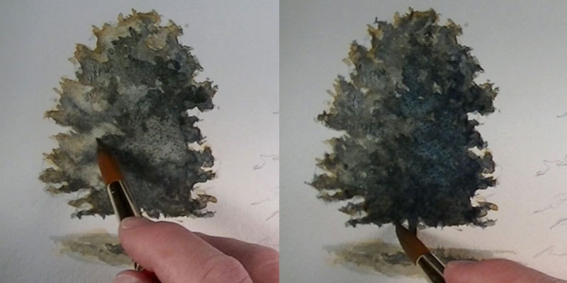 如何画一棵橡树的细节