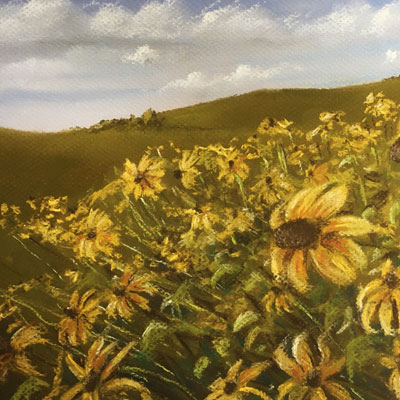 柔和的风景用鲜花教训