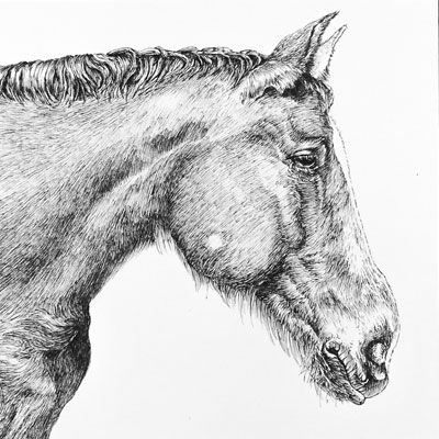 钢笔和墨水的马