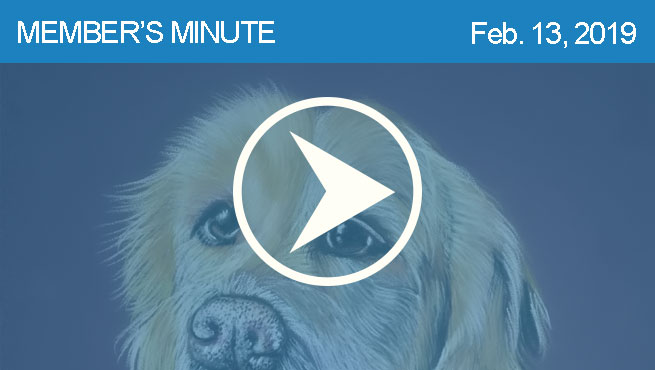 粉彩宠物肖像评论