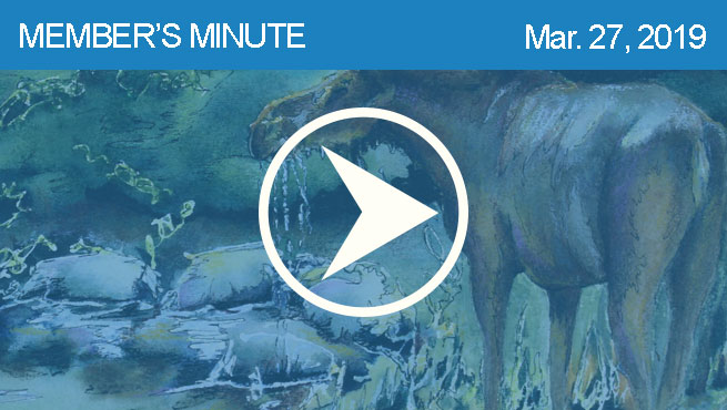 混杂的媒体评论