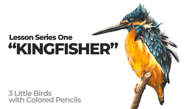 翠鸟和彩色铅笔