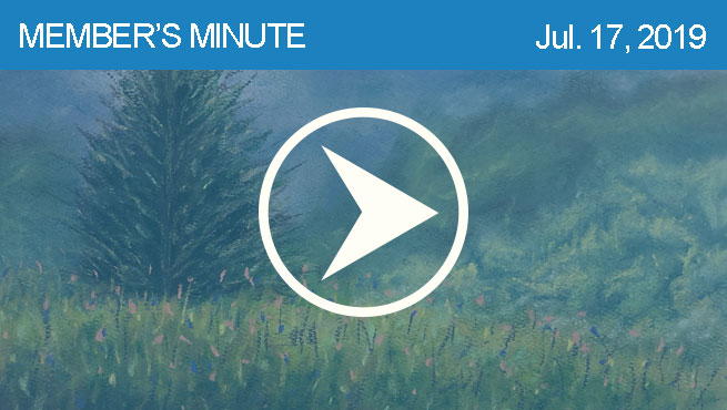 柔和的景观评论