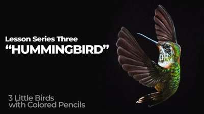 彩色铅笔课系列-蜂鸟