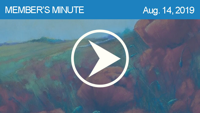 柔和的景观评论