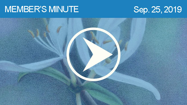 彩色铅笔画评论