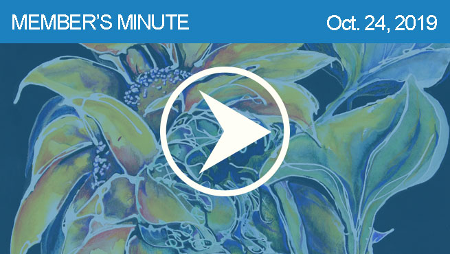 混杂的媒体评论