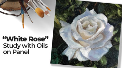 白玫瑰-研究与油