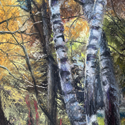 桦树景观和彩笔