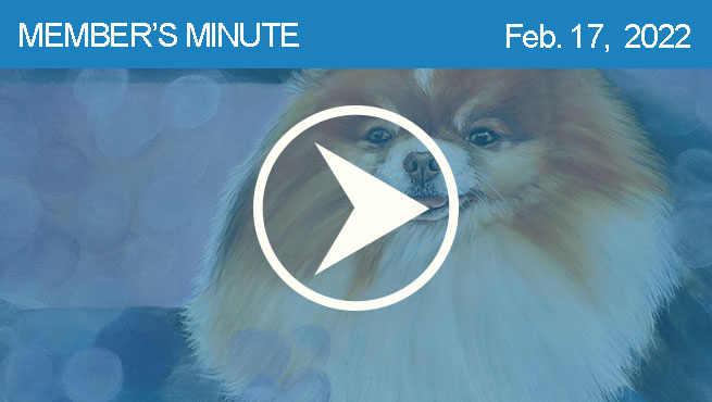 柔和的肖像批判