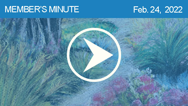 柔和的风景批判