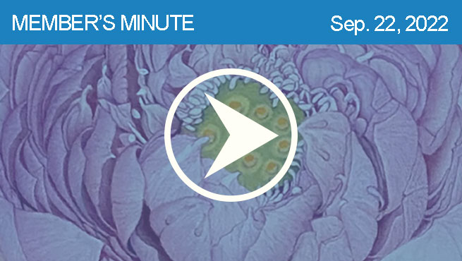 混合媒体花批判