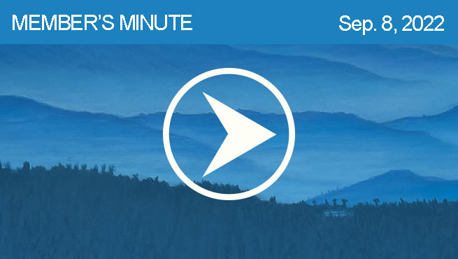 柔和的风景批判