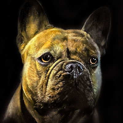狗肖像在黑色帆布