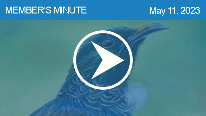 彩色铅笔绘制批判