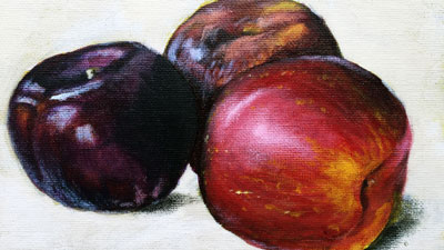 亚克力静物课系列