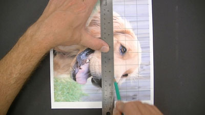 如何将图像转移到绘图表面