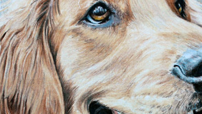 如何创建纹理与彩色铅笔第一部分