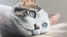 粉彩课-猫
