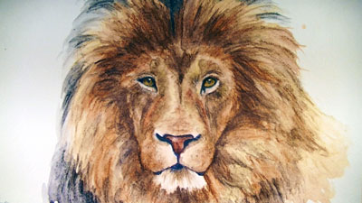 如何用石墨笔画狮子