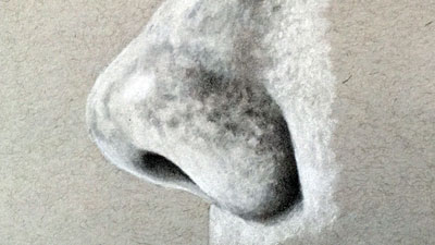 如何从侧面视图绘制鼻子