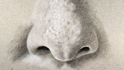 如何从正面画鼻子