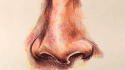 如何用彩色铅笔画鼻子