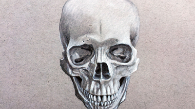 肖像绘制-头骨正面视图