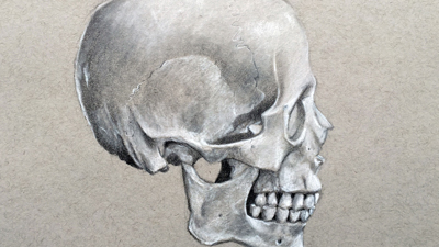 绘制头骨轮廓视图