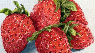 墨水铅笔静物课系列