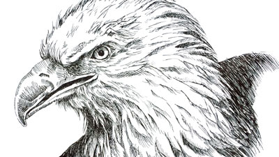 如何用笔墨画一只鹰-系列课程